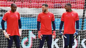 Steve Mandanda e Mike Maignan